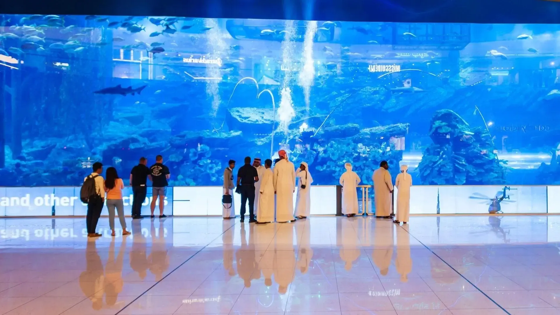 Dubai Aquarium and Underwater Zoo - best places to visit in Dubai in summer