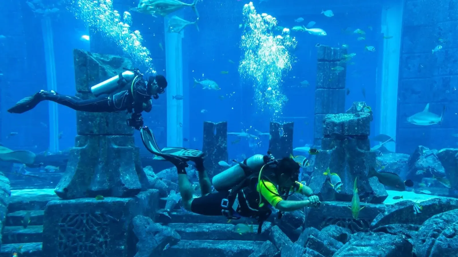 Dive Atlantis - best place to visit in Dubai during summer 